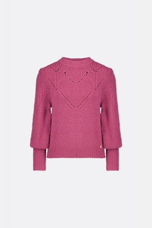 Fabienne Chapot Fabienne Chapot truien Trui 7613-uni cheeky cherry