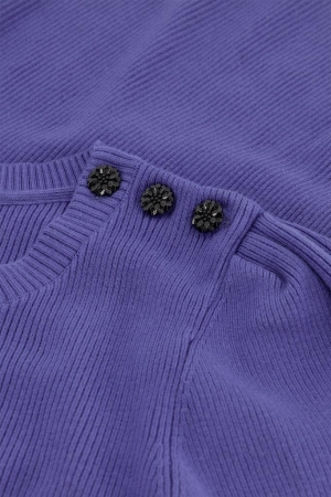 Fabienne Chapot Fabienne Chapot truien Trui 8711-uni poppy purple