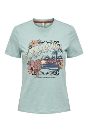 Only Only shirts en tops T-shirt Korte mouw aquifer tropic