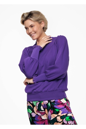 Tramontana Tramontana sweaters Sweater 4800 purple