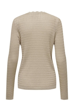 Only Only truien Trui frosted almond dtm glitter