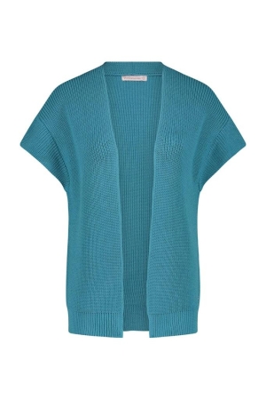 Studio Anneloes Studio Anneloes vesten Vest 7600 aqua