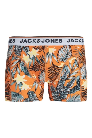 Jack & Jones Jack & Jones ondergoed Boxershorts exuberance